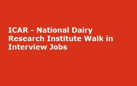 ICAR - National Dairy Research Institute Walk in Interview Jobs